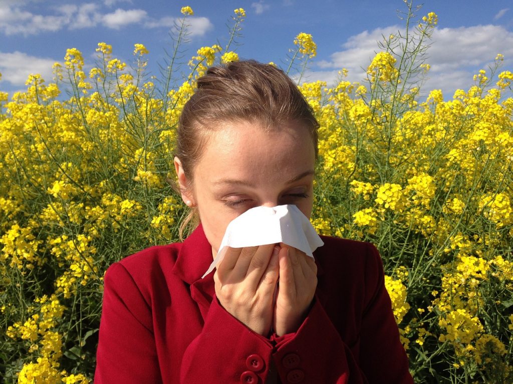 ¿cómo prevenir las alergias?