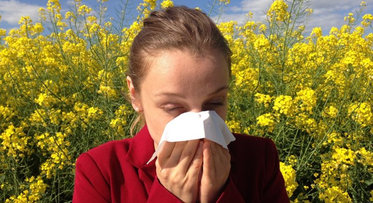 ¿cómo prevenir las alergias?
